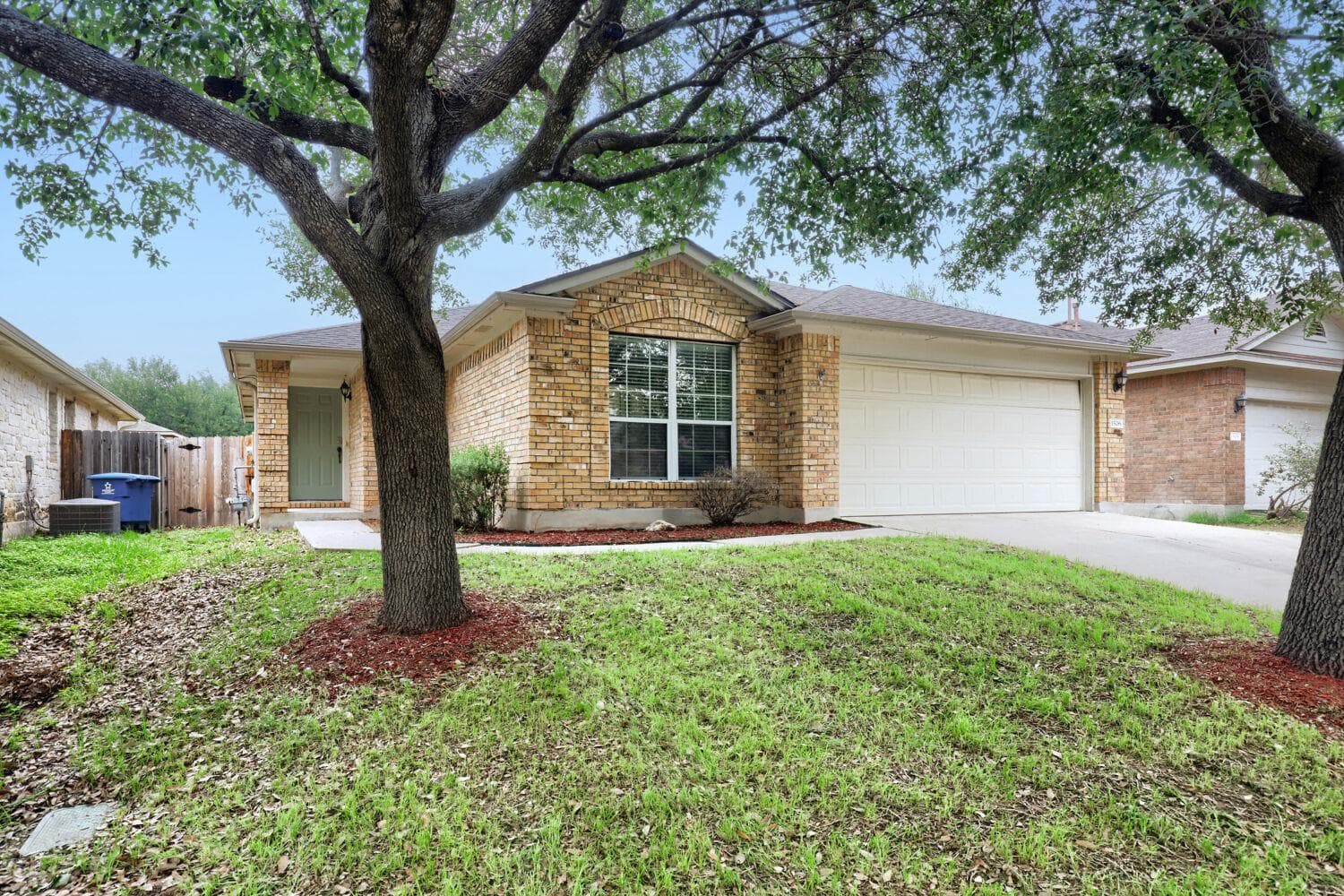 1506 Campanella Cv