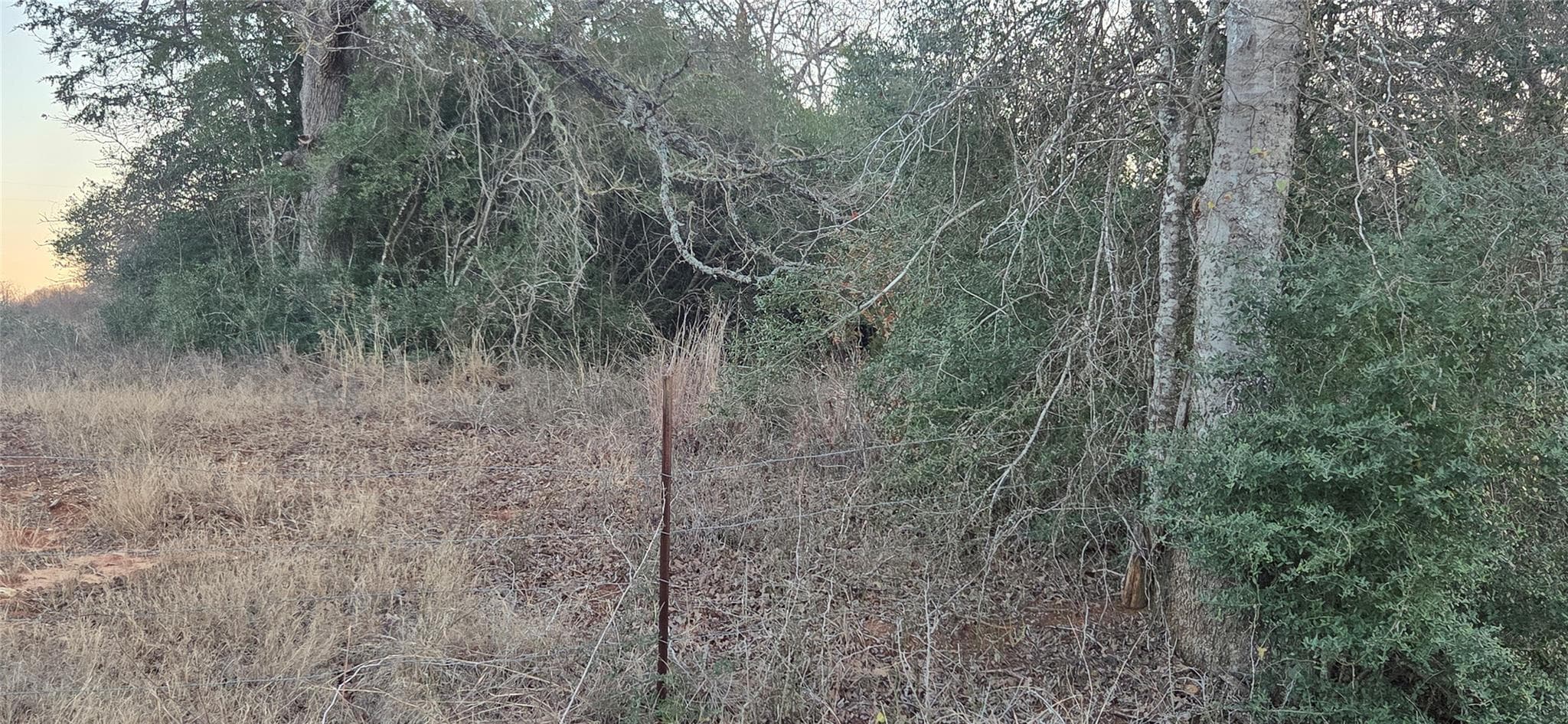 314 County Road Lot 8 TBD Rd