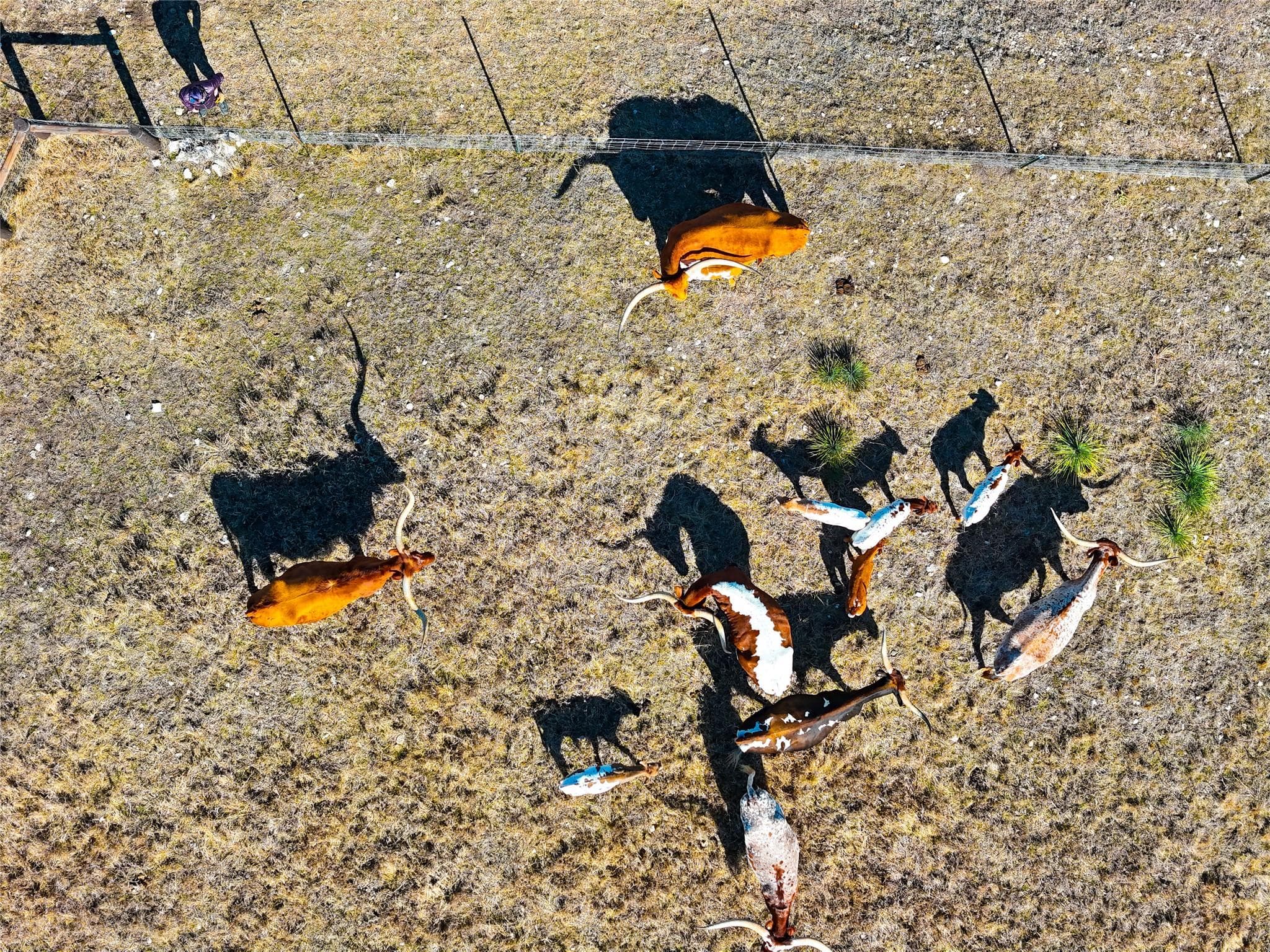 TBD Lipan Apache Run
