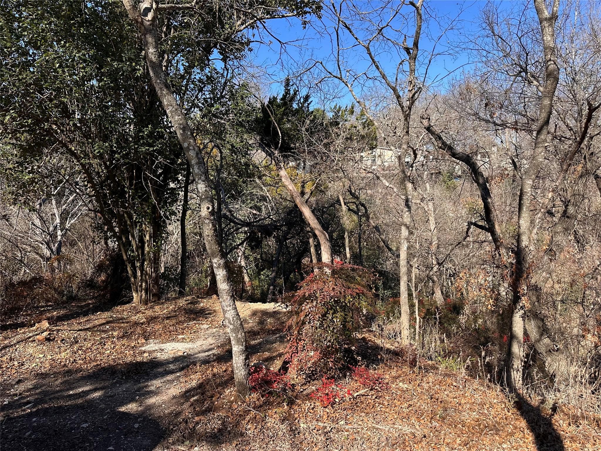 TBD Cedar Valley Cv