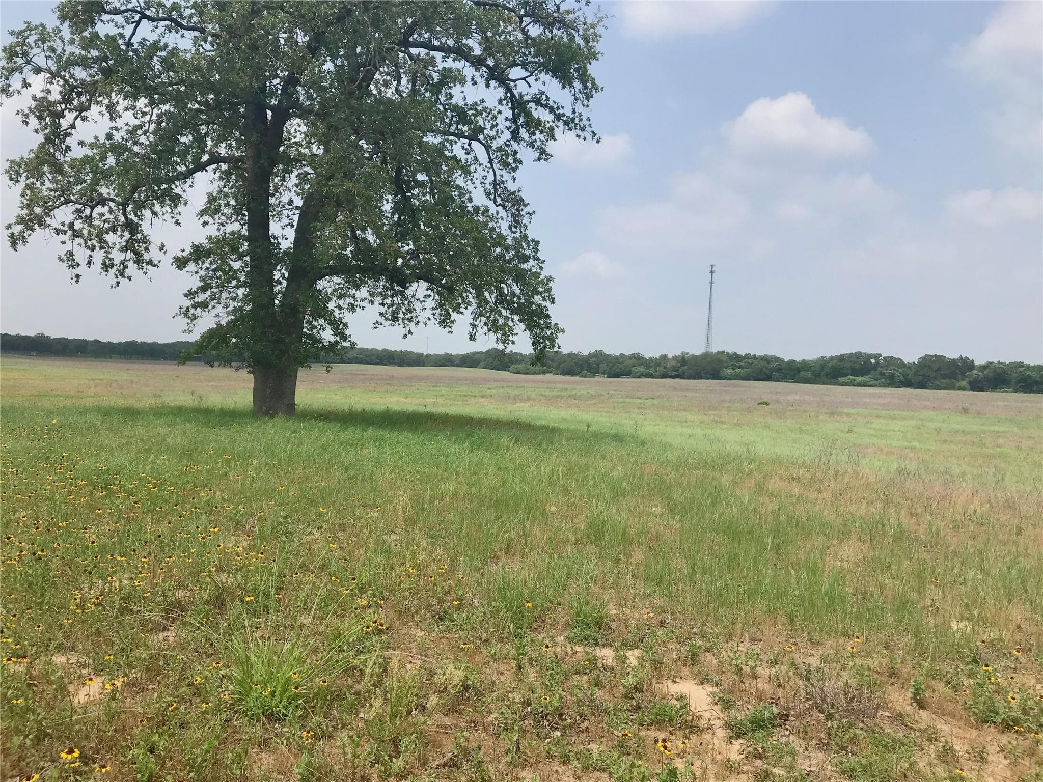 1672 Sayers Rd #Tract 1