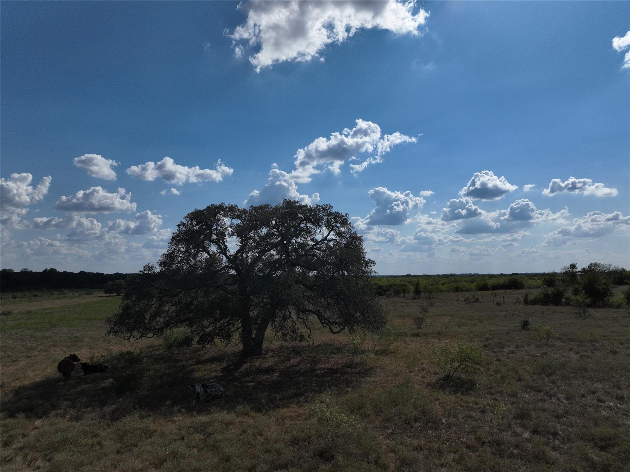 TBD Lot 5 Tenney Creek Rd Rd