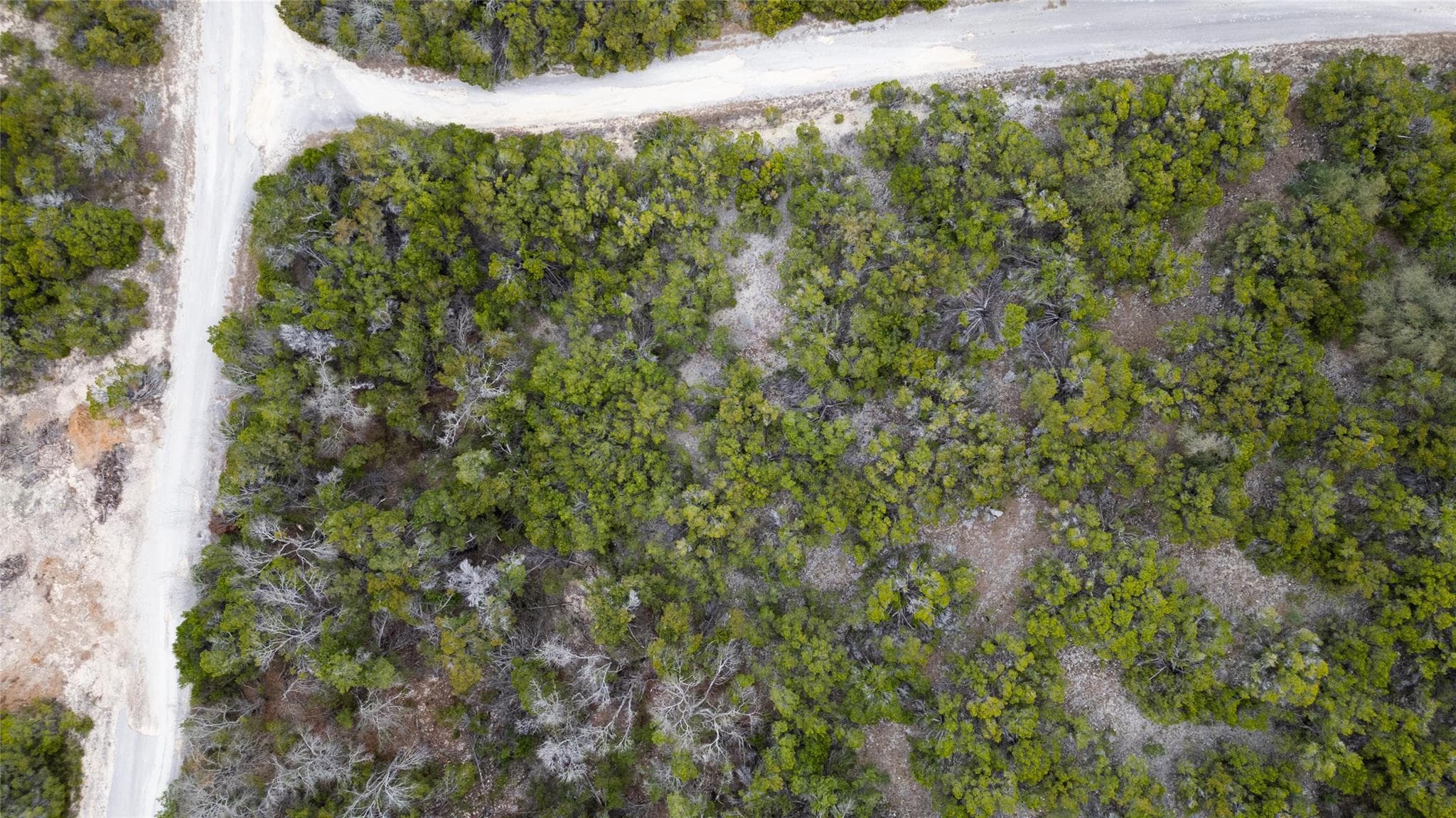 20605 Telegraph Pass