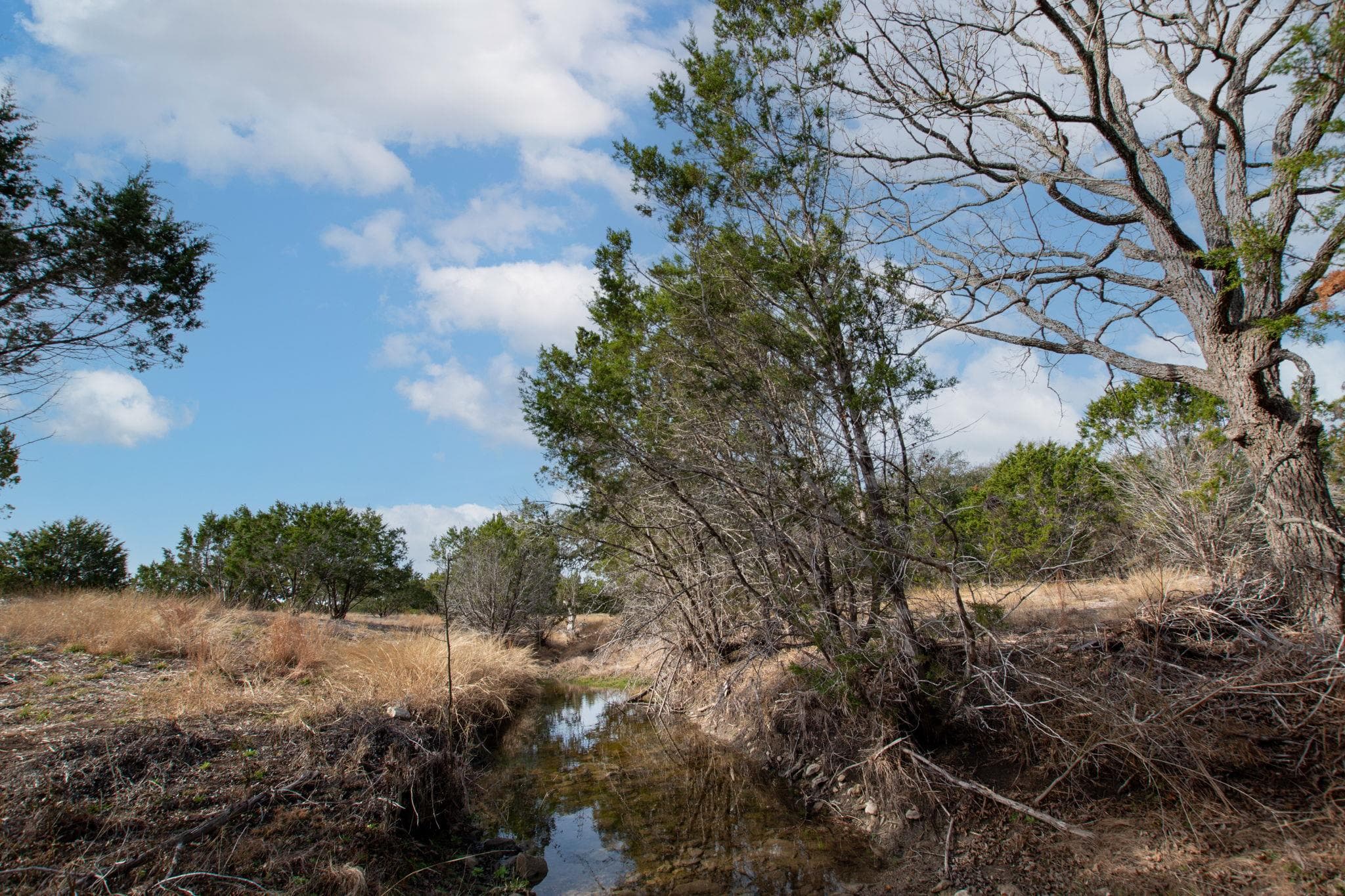 TBD Burnet Oaks Lot 20 Dr