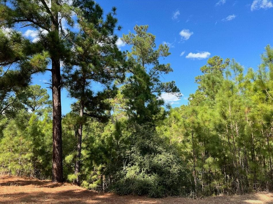 Lot 986 Kailua L Ln