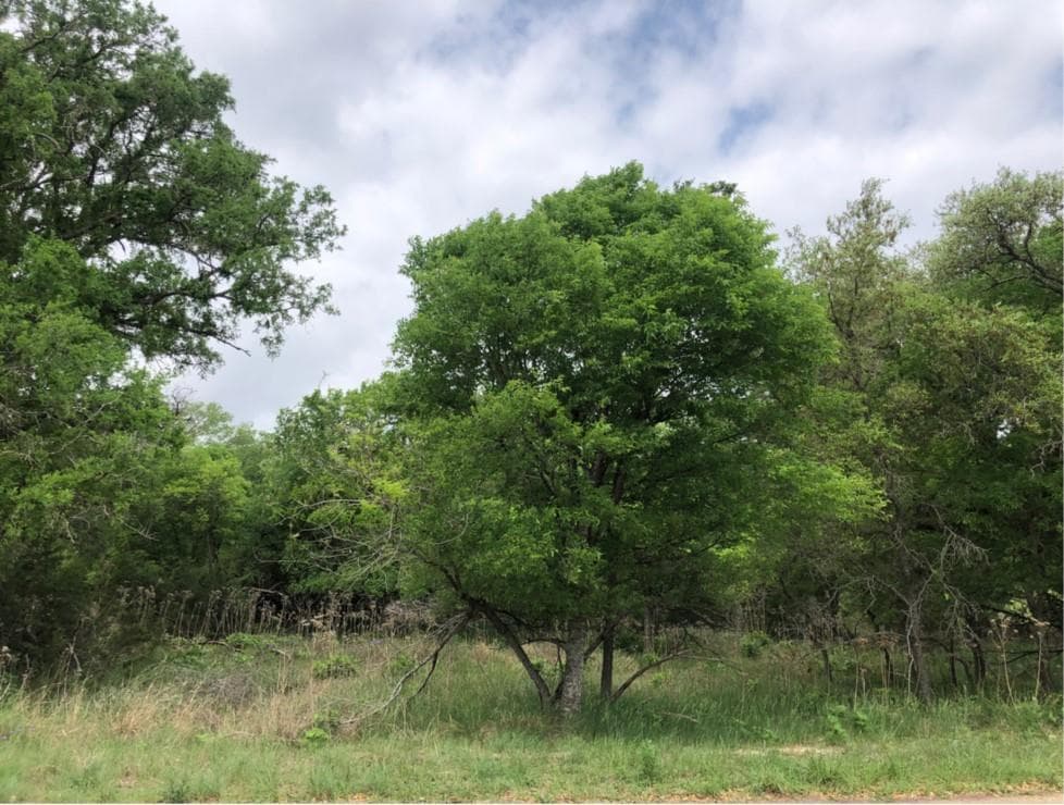 75 E Valley Springs Rd
