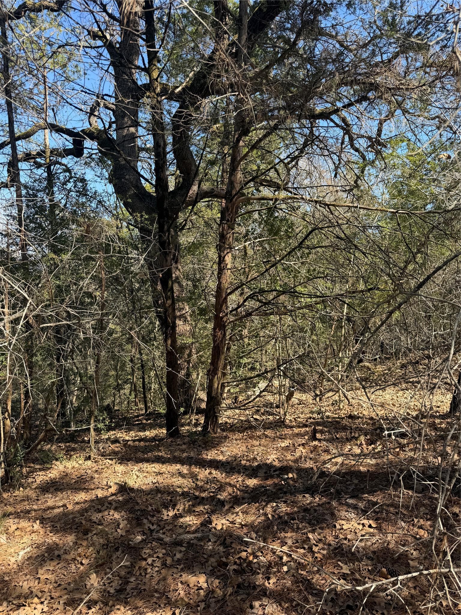 Lot 321 Keneka Ln
