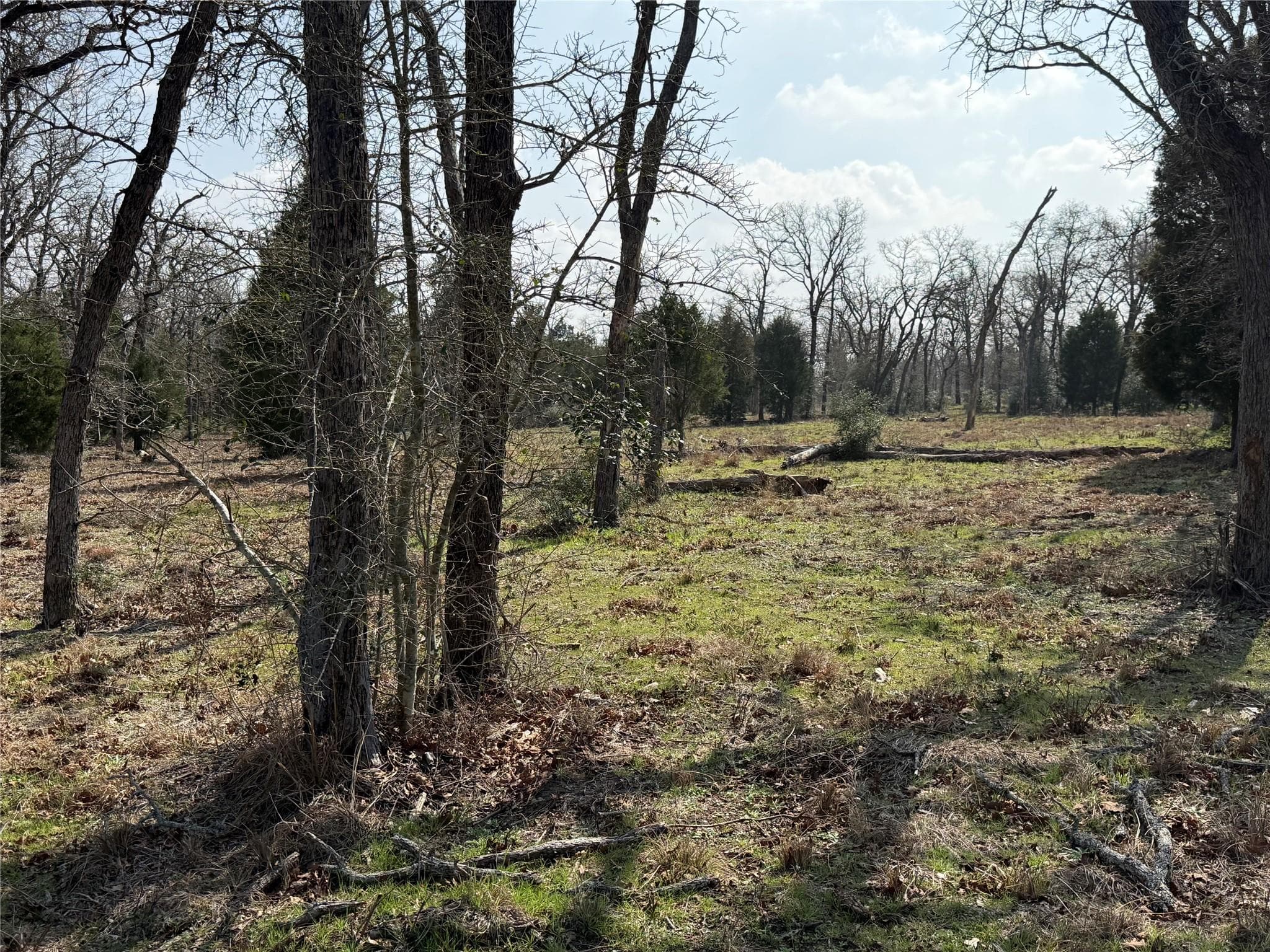 TBD N County Line Rd