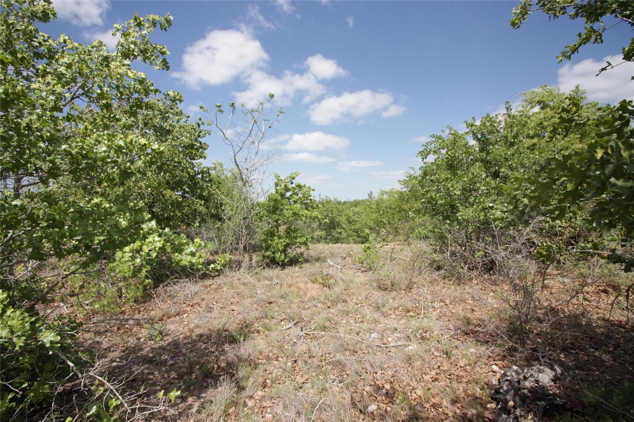 TBD River Forest Dr