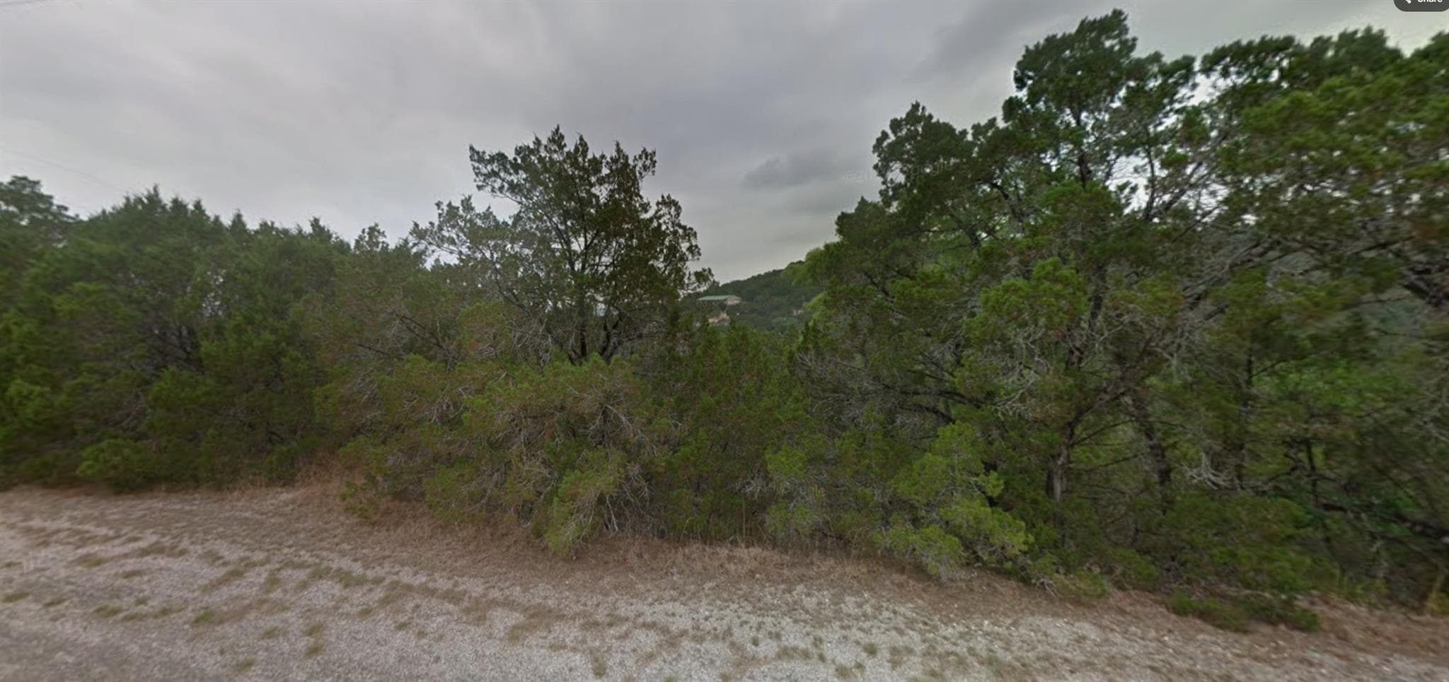6903 Live Oak None