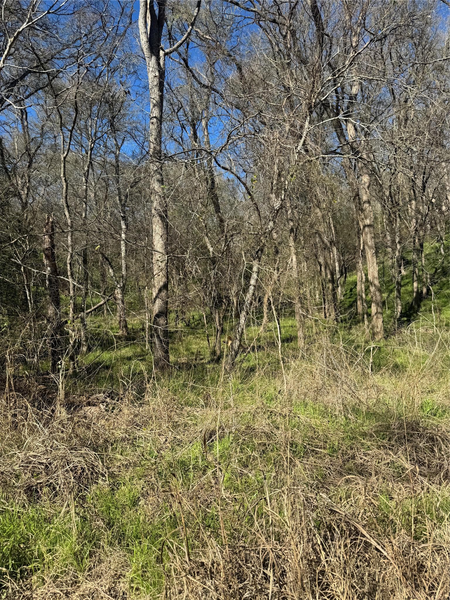 Lots 638. 639. 640 Kaukonahua Ln