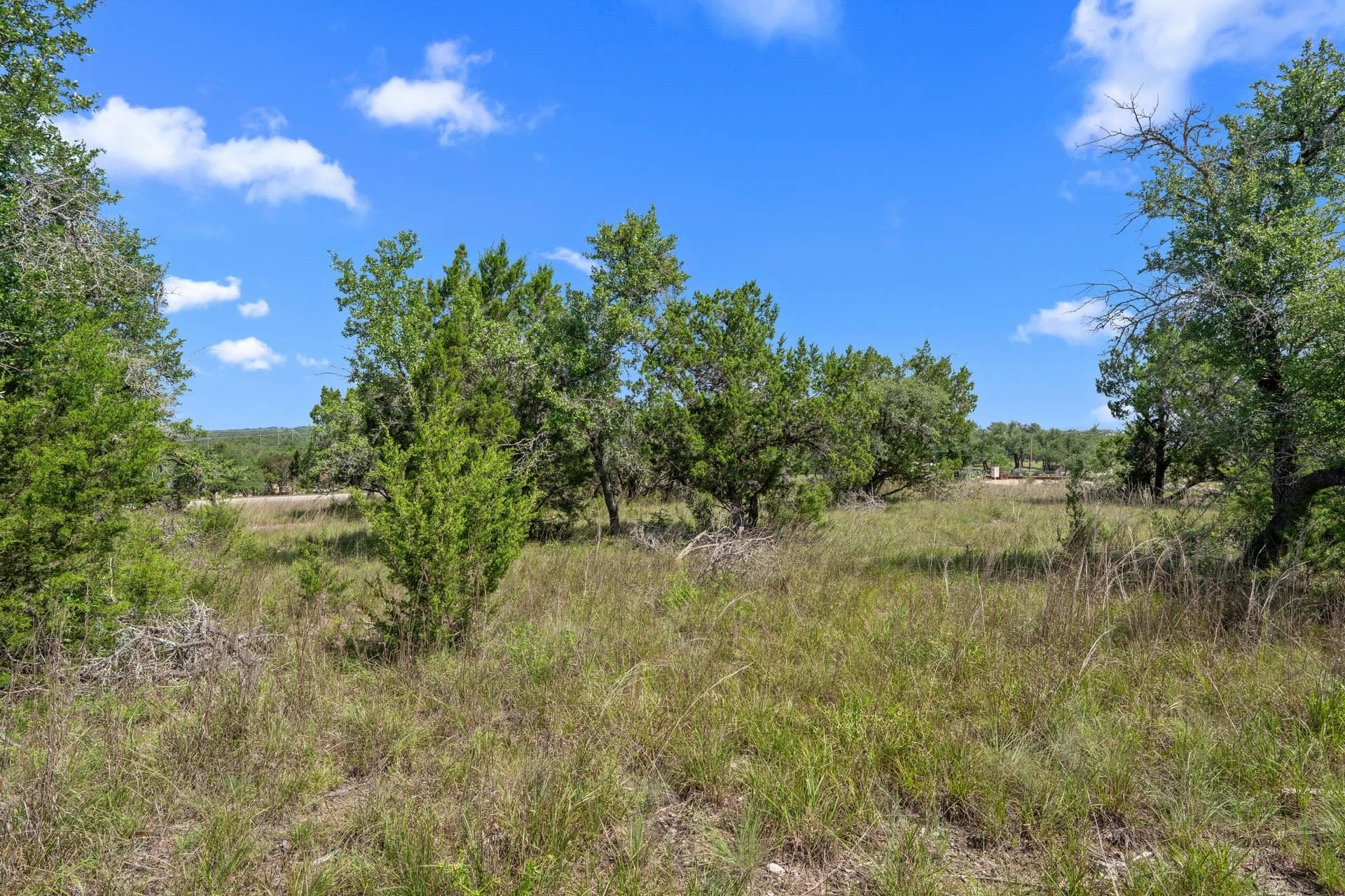 32000 Mirela Ann Rd