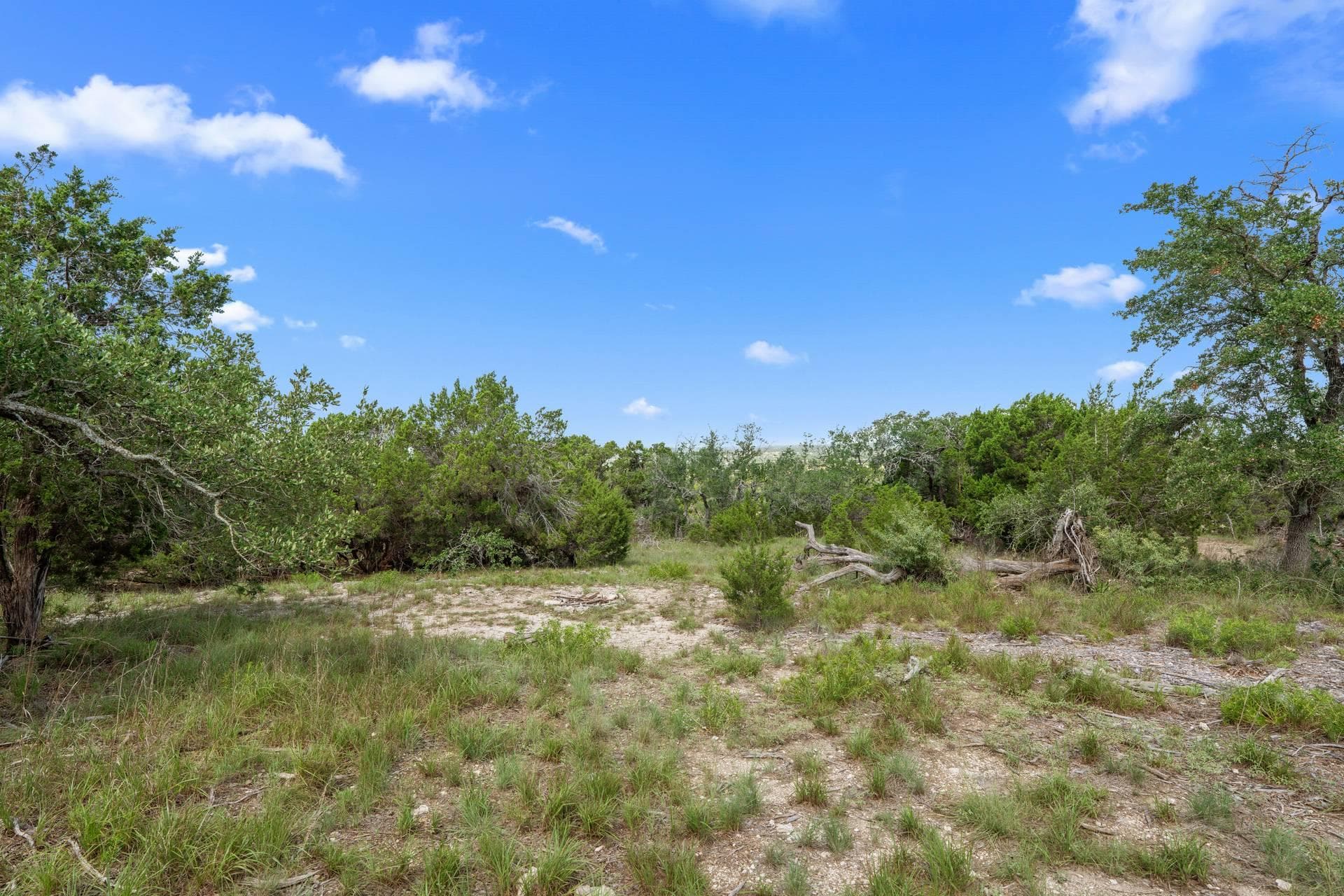 31860 Mirela Ann Rd
