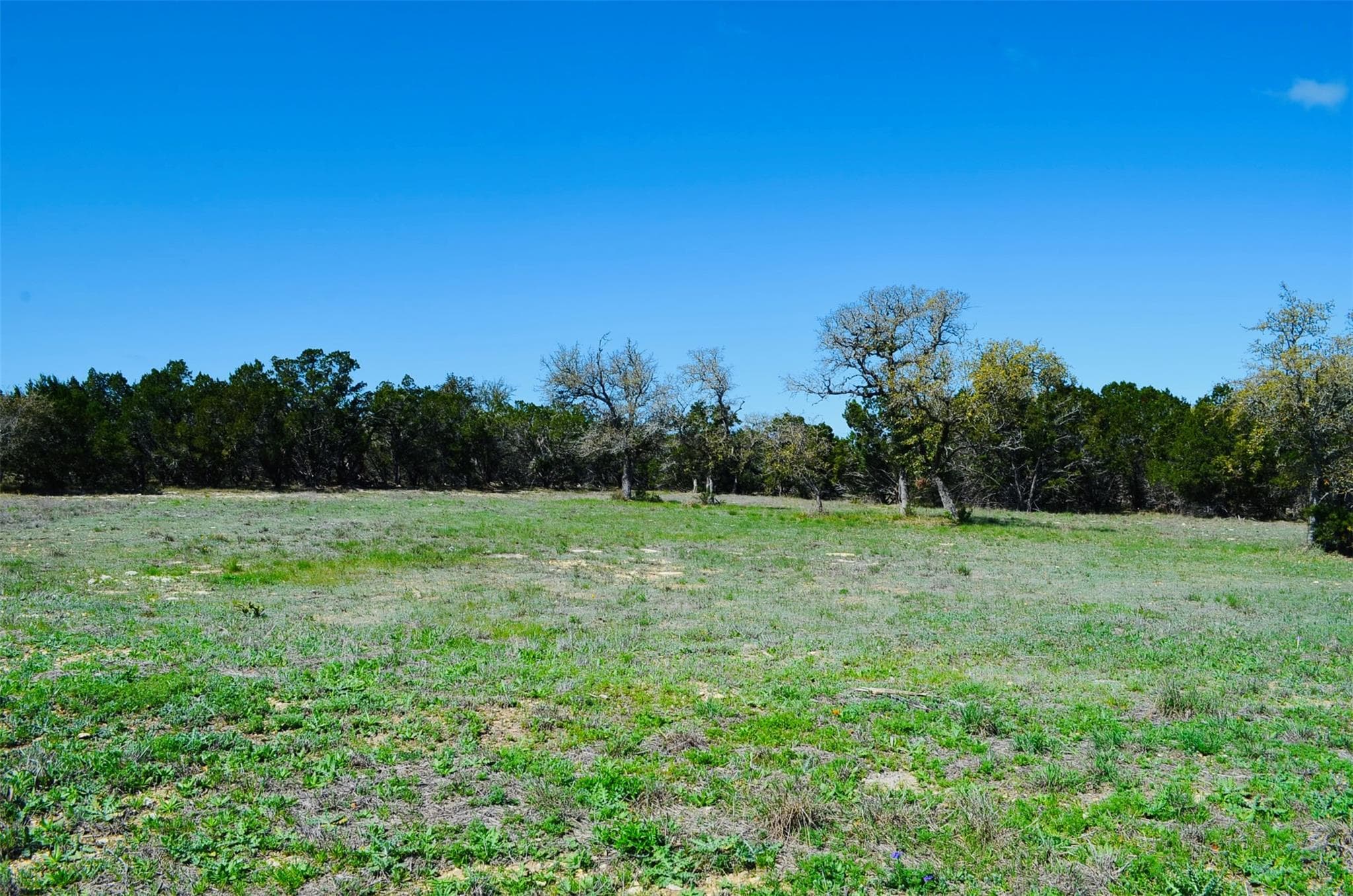 926 Malbec Loop
