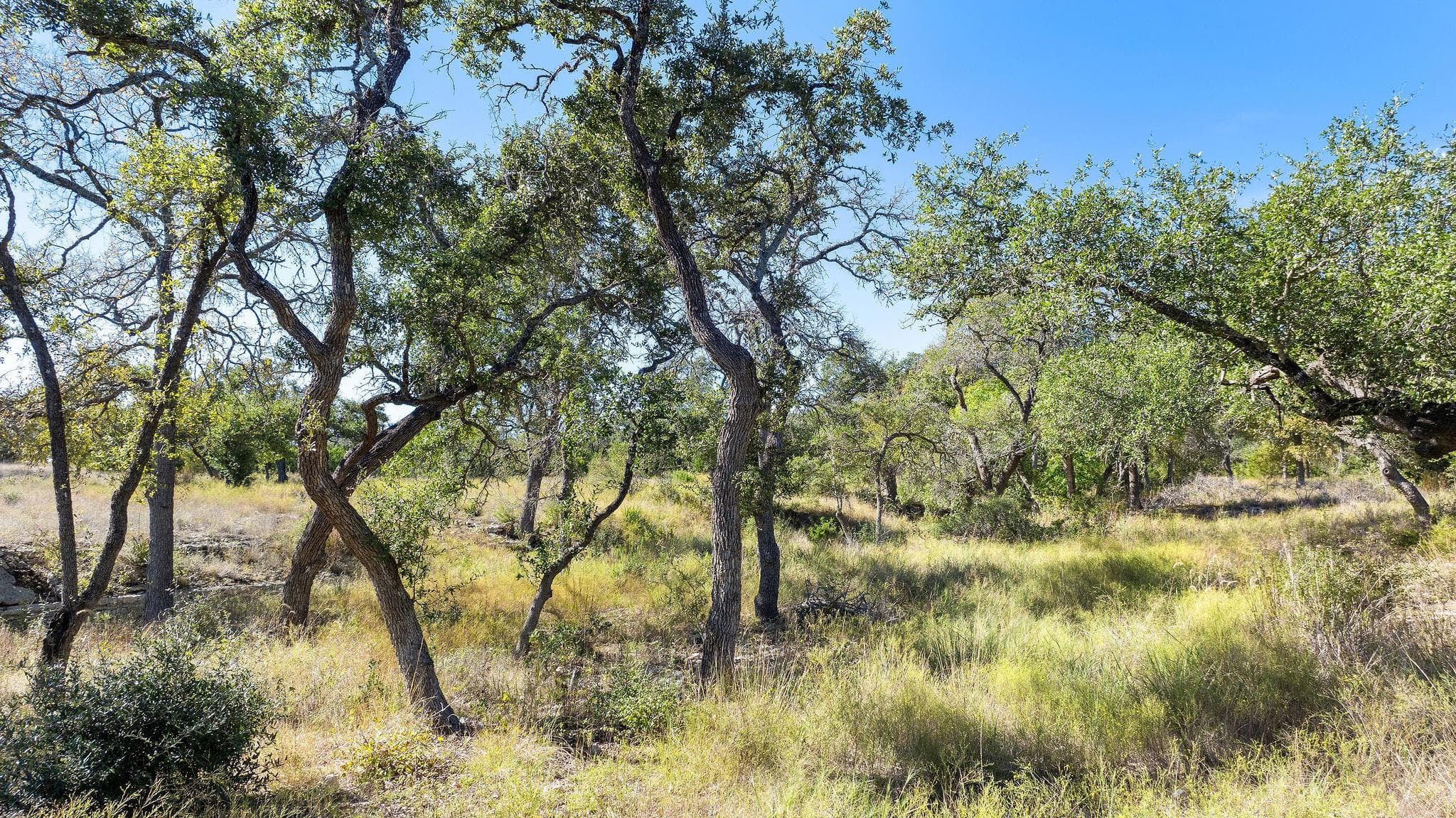 Lot 18 Mesa Ranch Rd