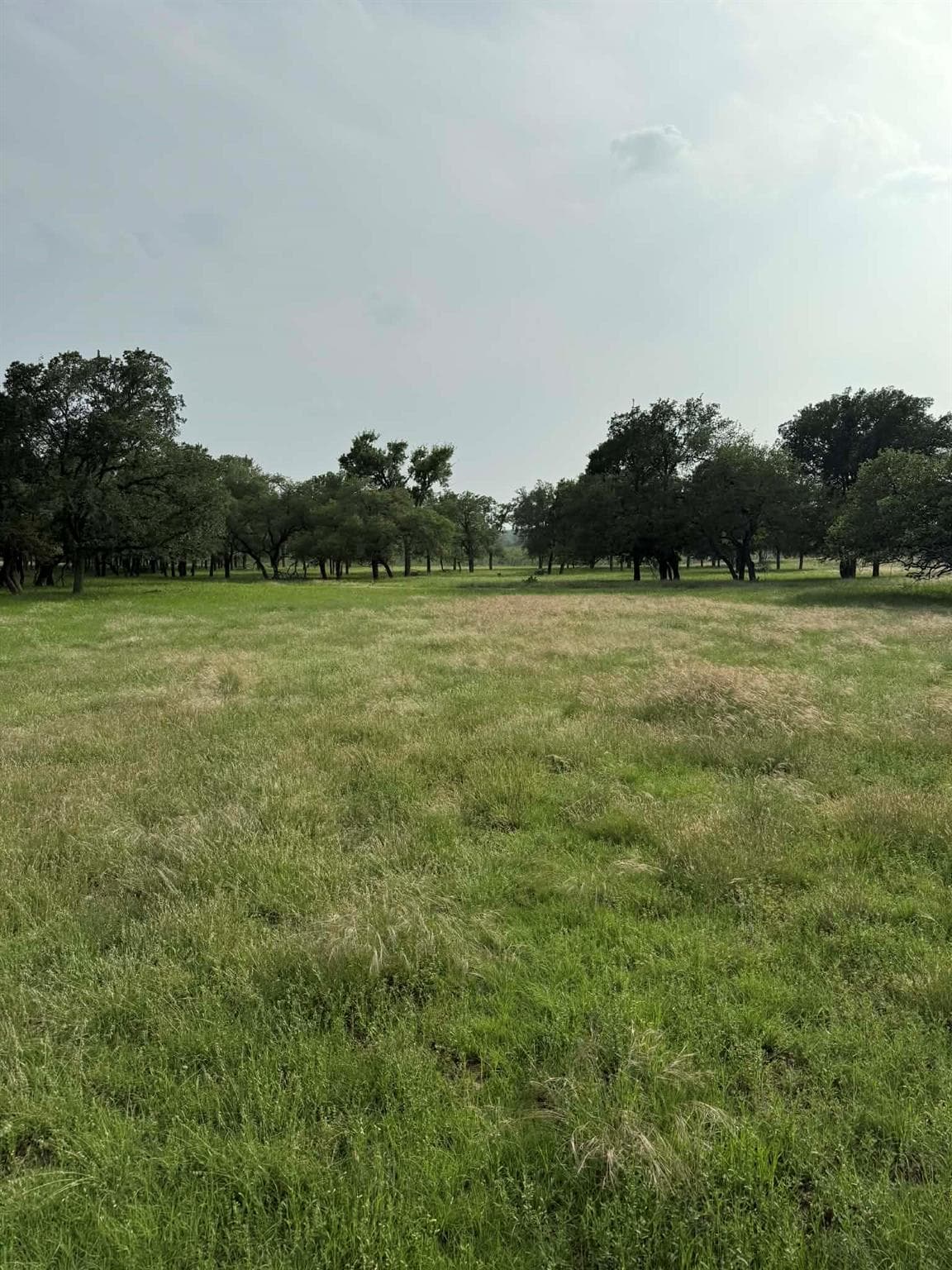 2251 County Road 234 Ln