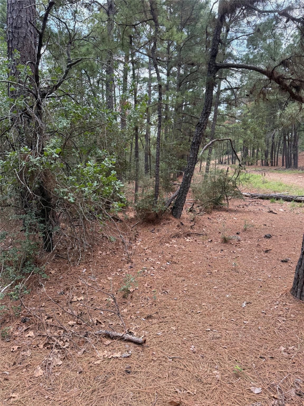Lot 35 Tanglewood Dr