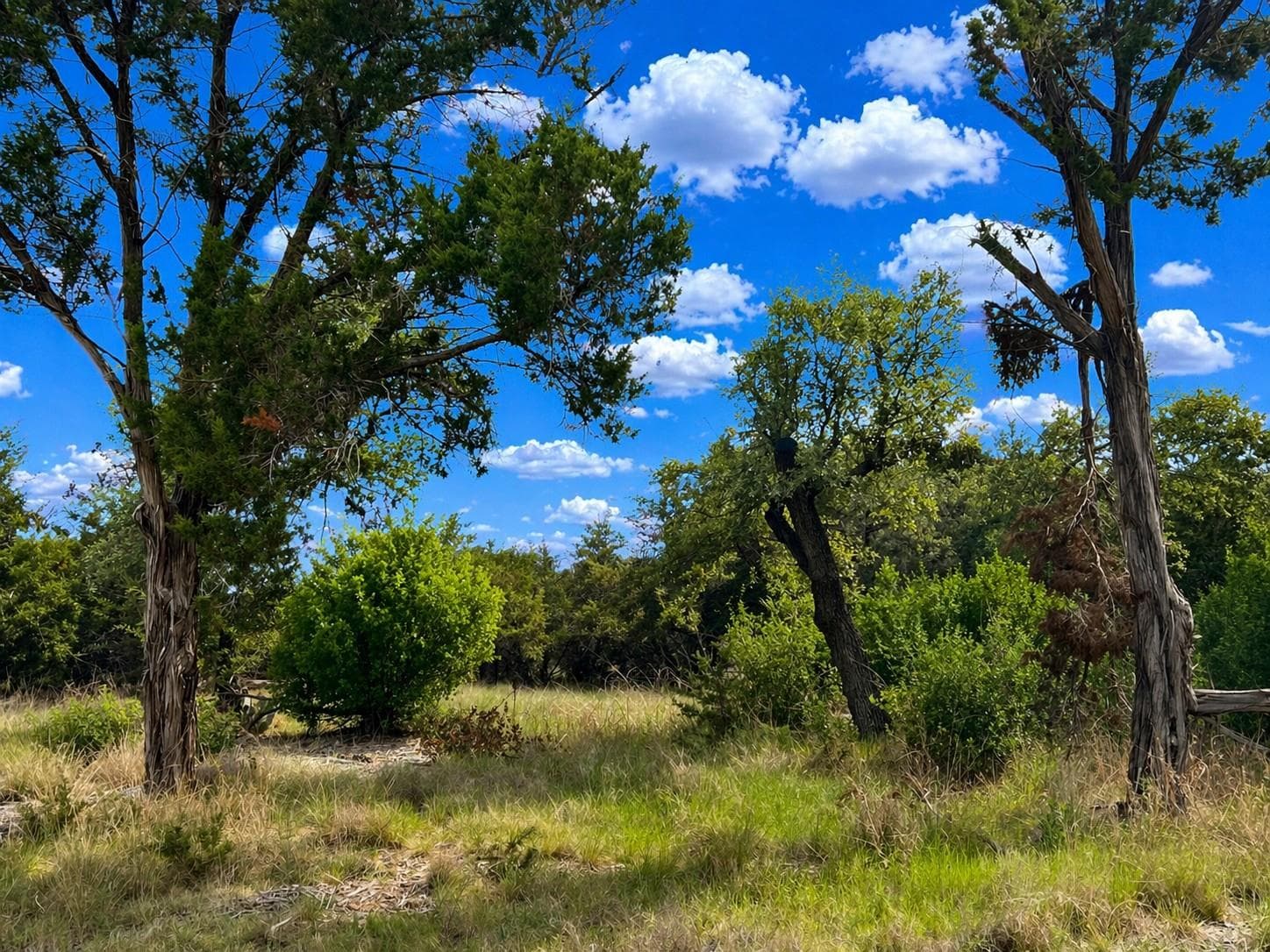 TBD Arrowhead Trail Lot 7 None