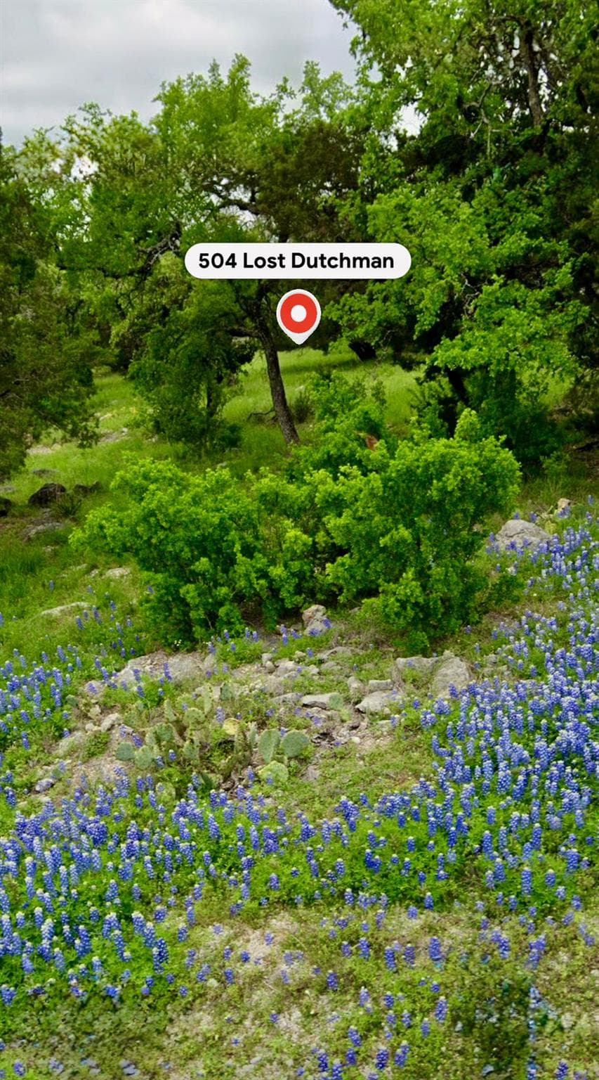 504 Lost Dutchman None