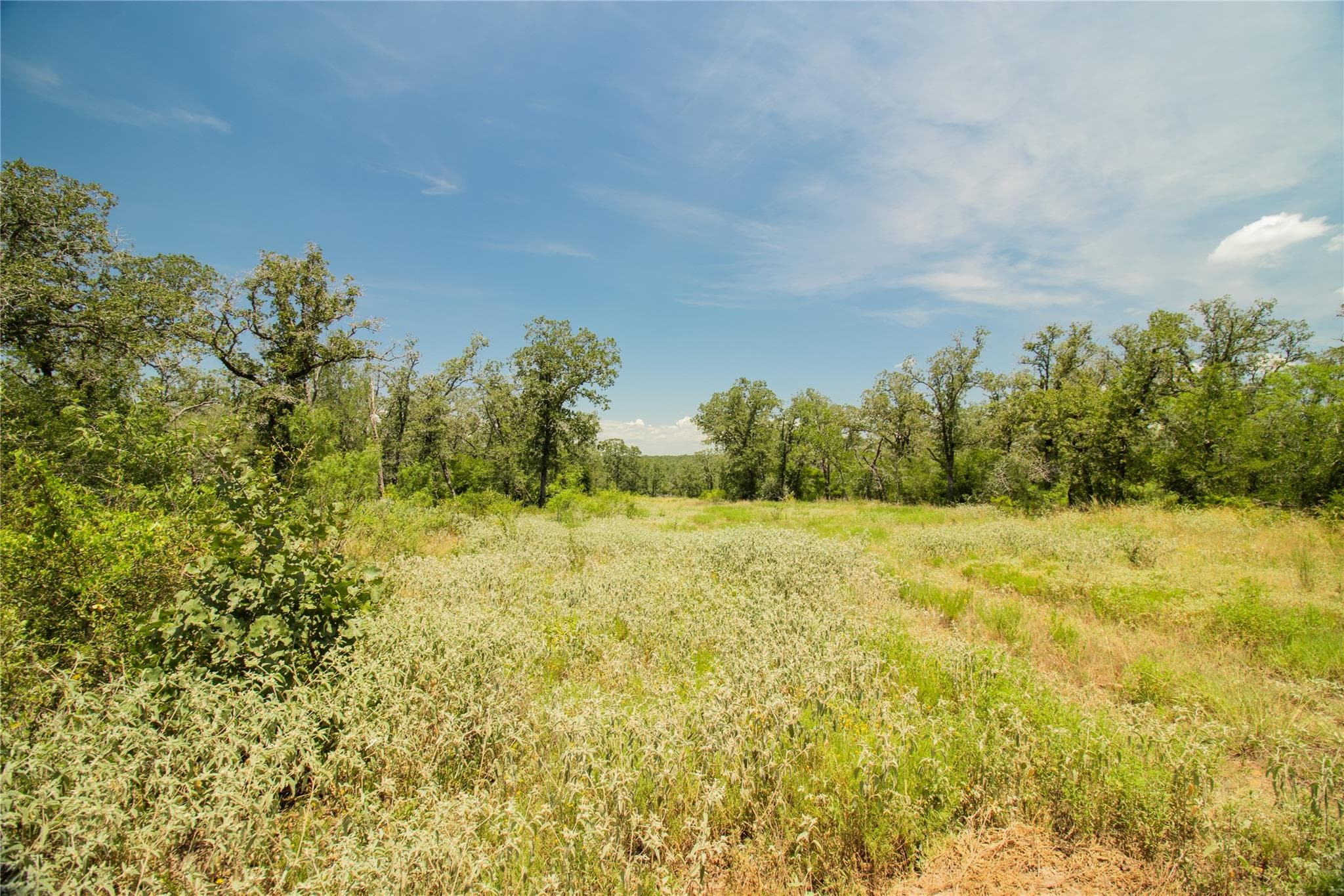 2564 Bluestem Crest Ln