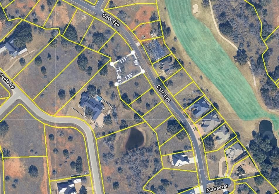 Lot W12025 Cats Eye None