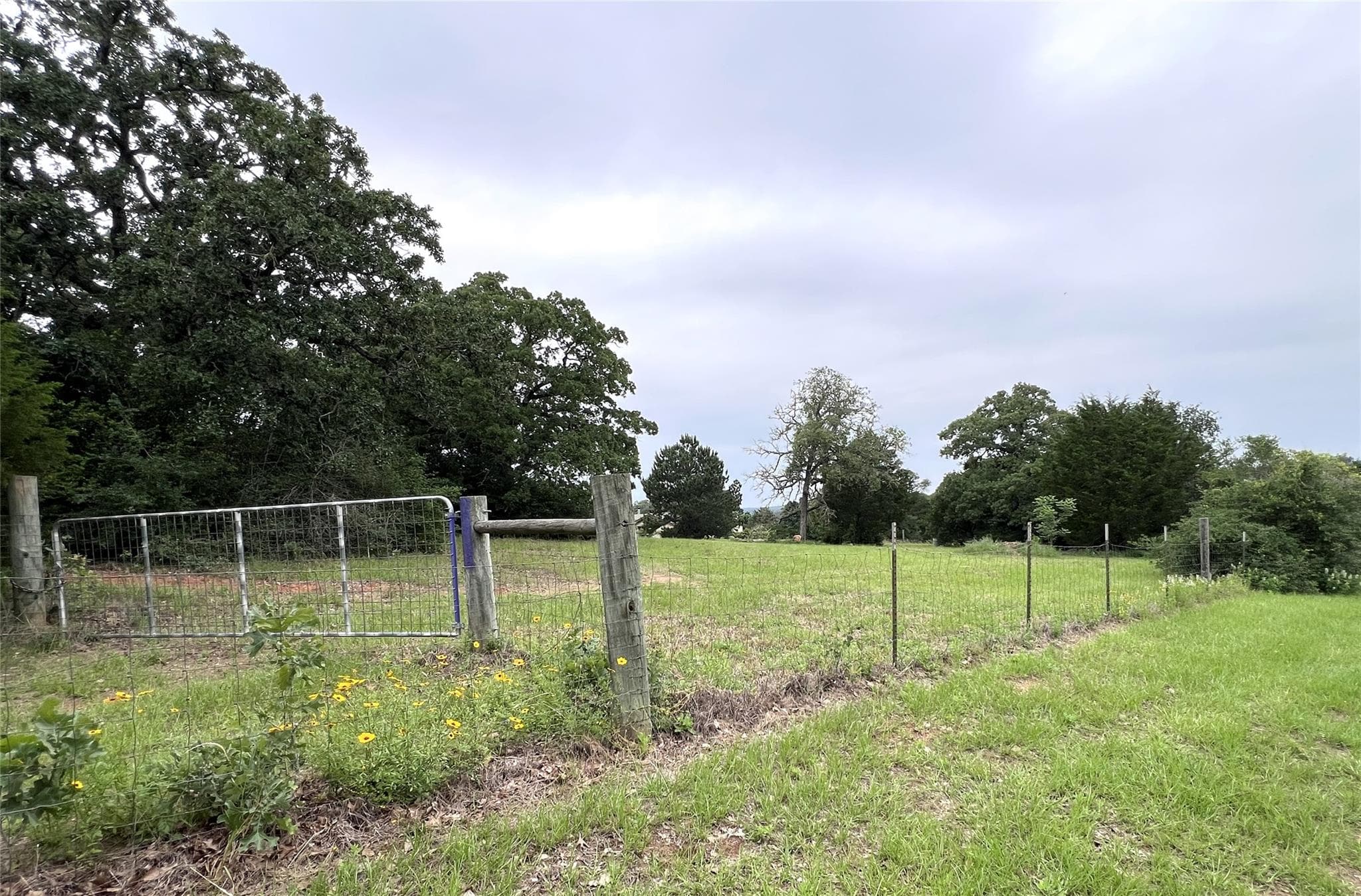 160 Rosanky Cattle Company Rd #R