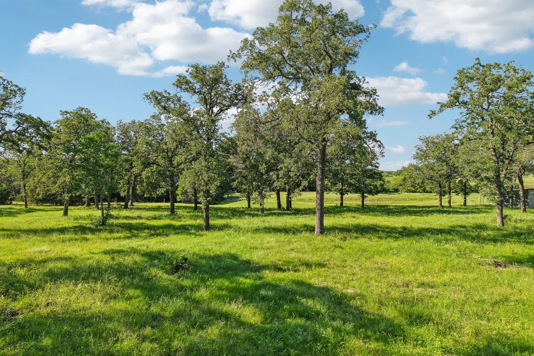 6 Acres County Road 211 None
