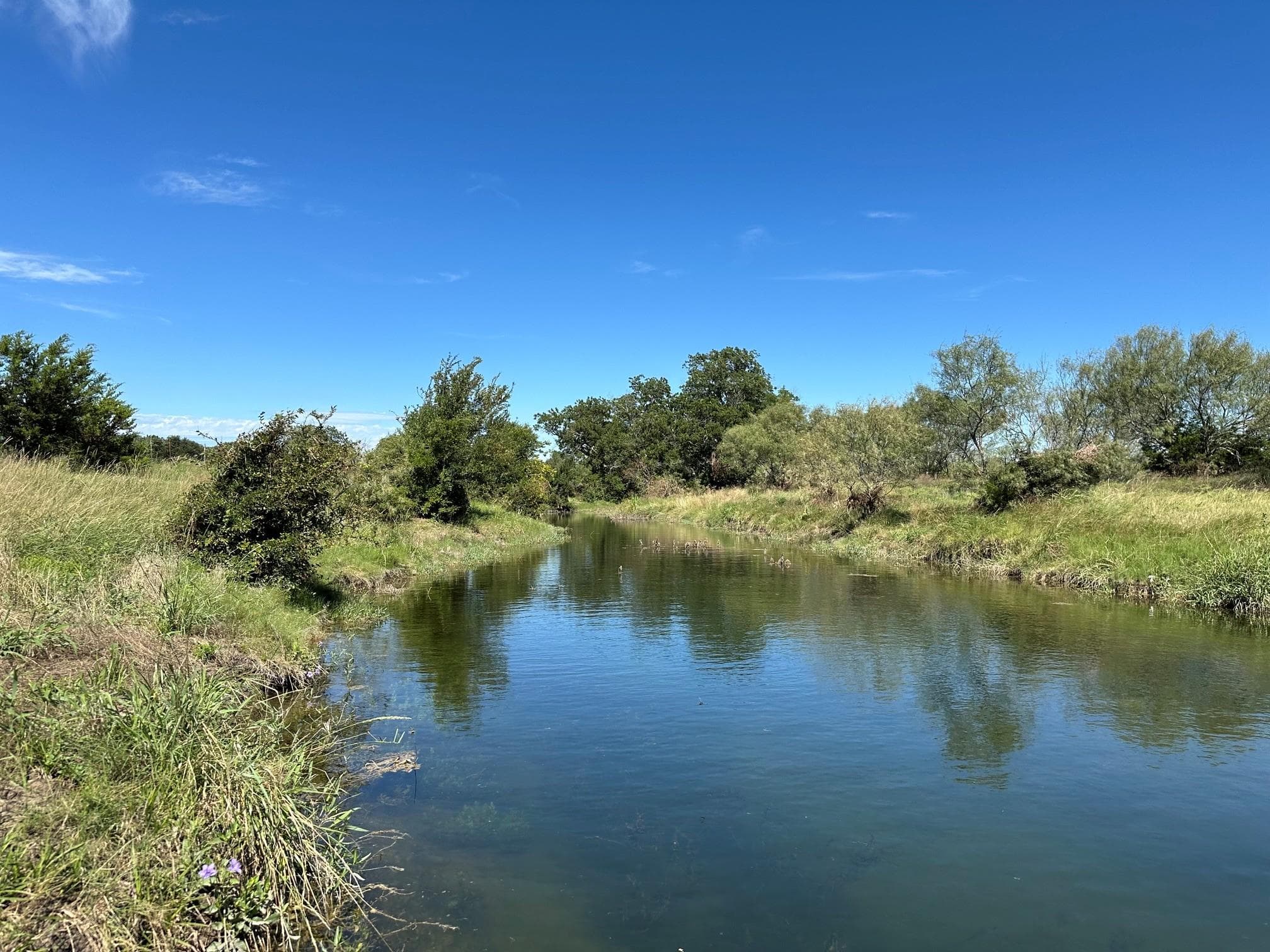 23 acres County Road 330 None