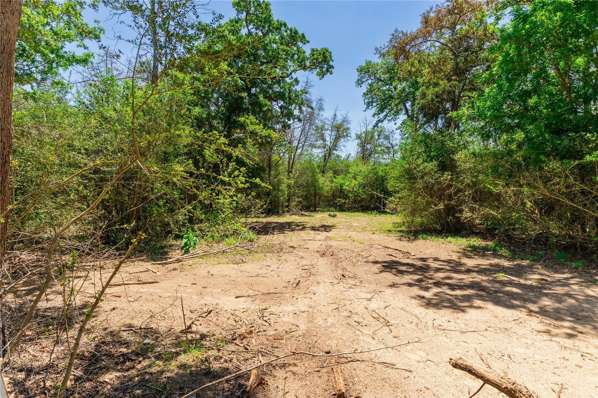 224 Pine Valley Dr