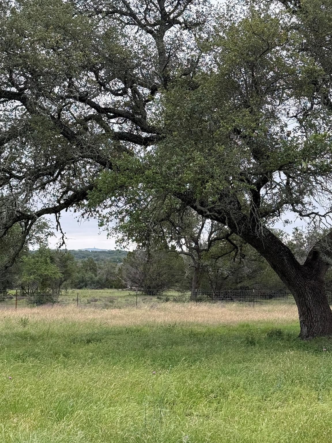 1399 Klett Ranch Rd