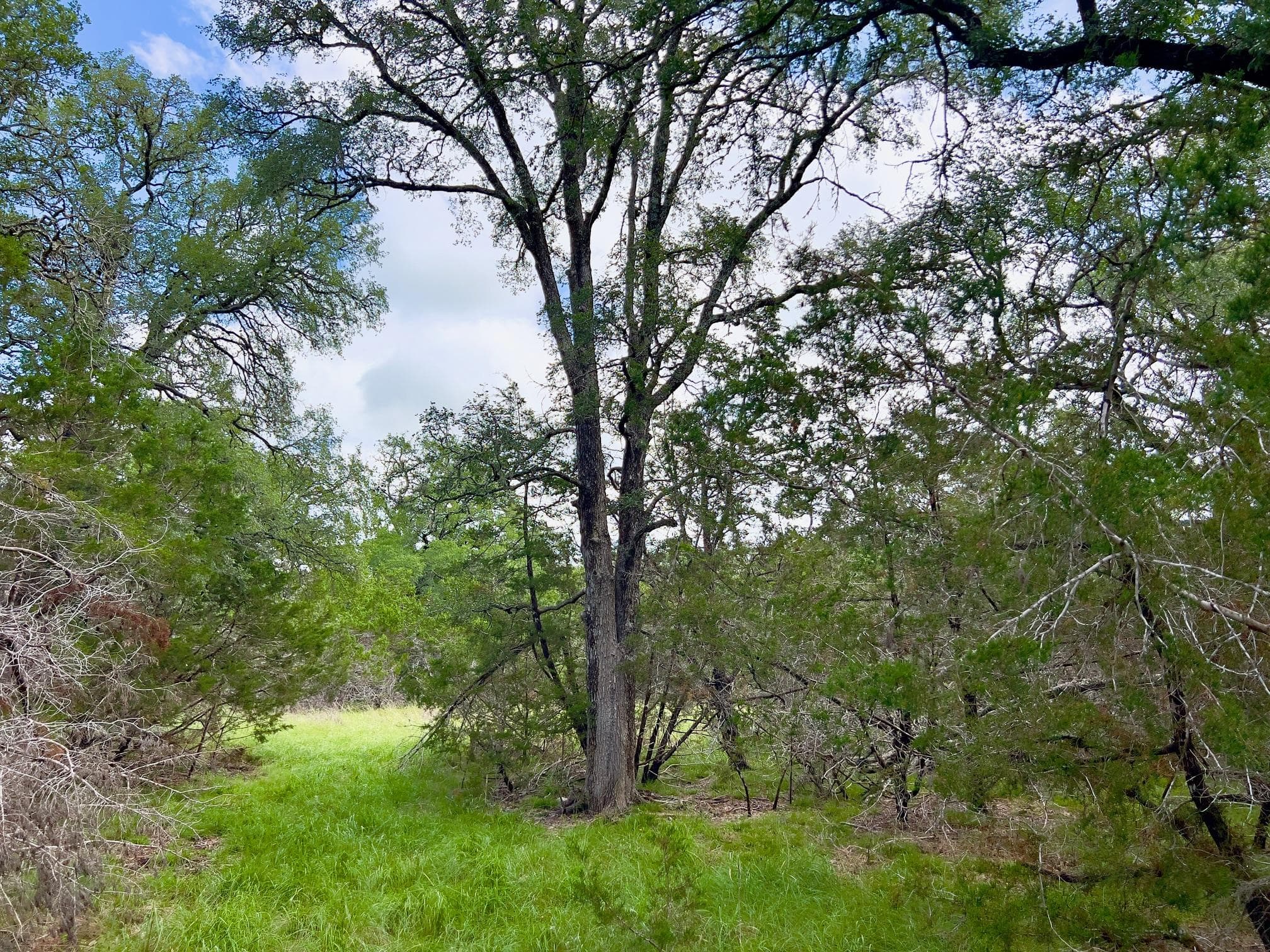 Lot 43-A Narrows Rd #1