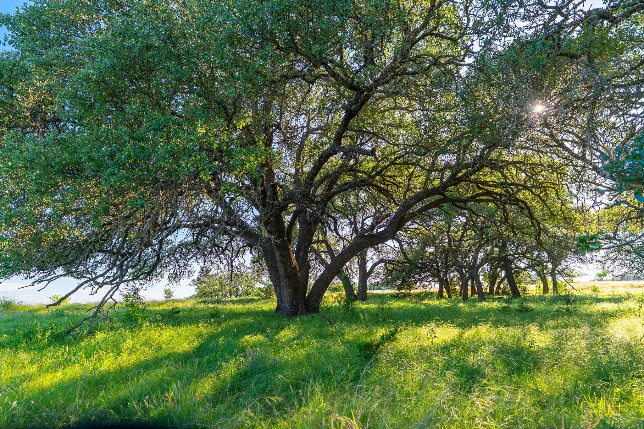 28 Feild Ranch Rd