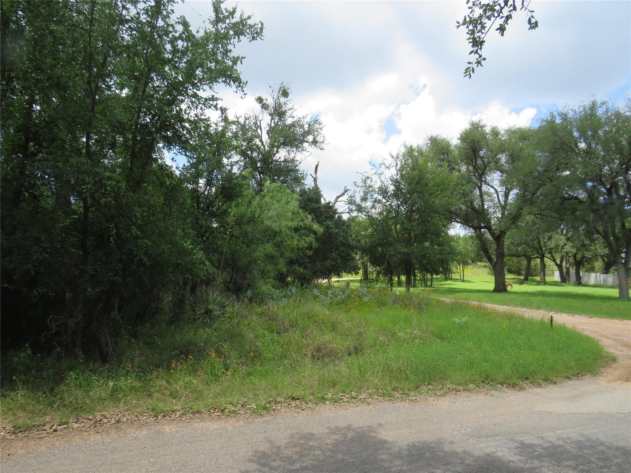 Lot 163 Buena Vista Dr