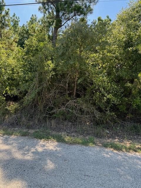 Lot 1355 N Kaupo Dr