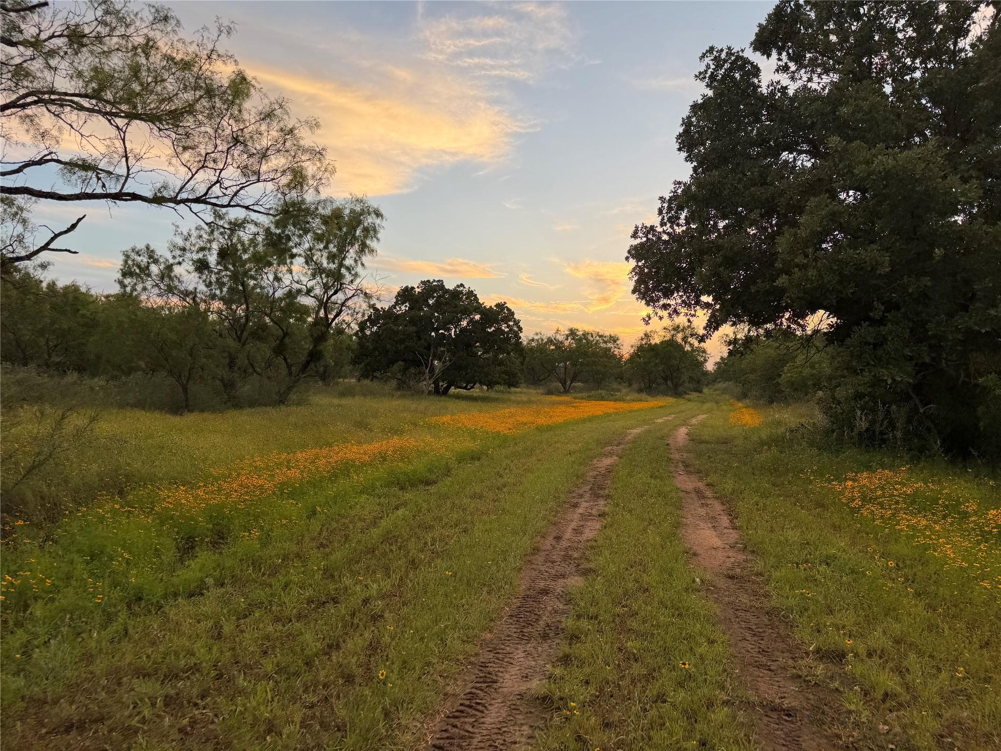 TBD FM 1980 tract 1 None