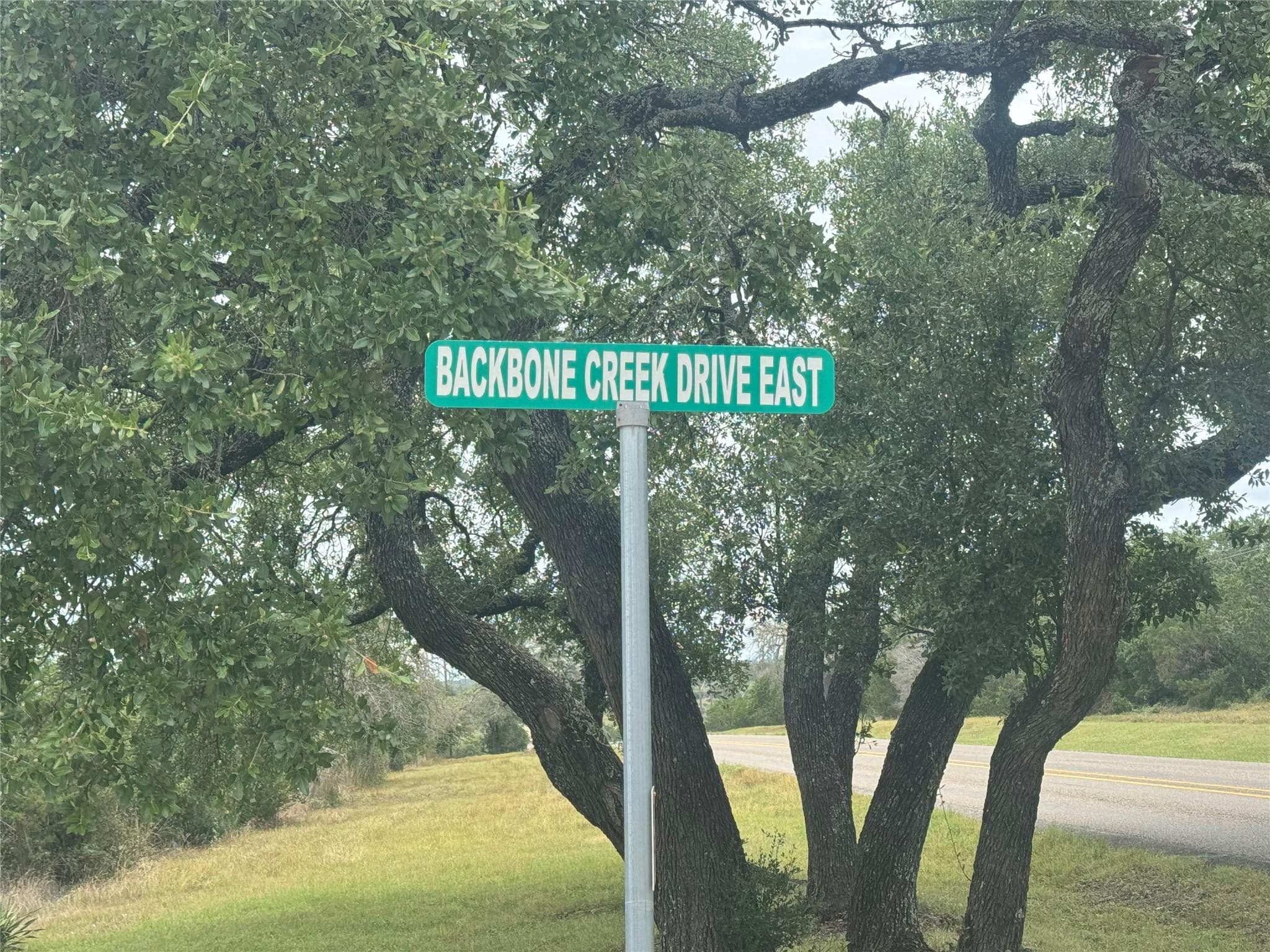 5 Back Bone creek Dr