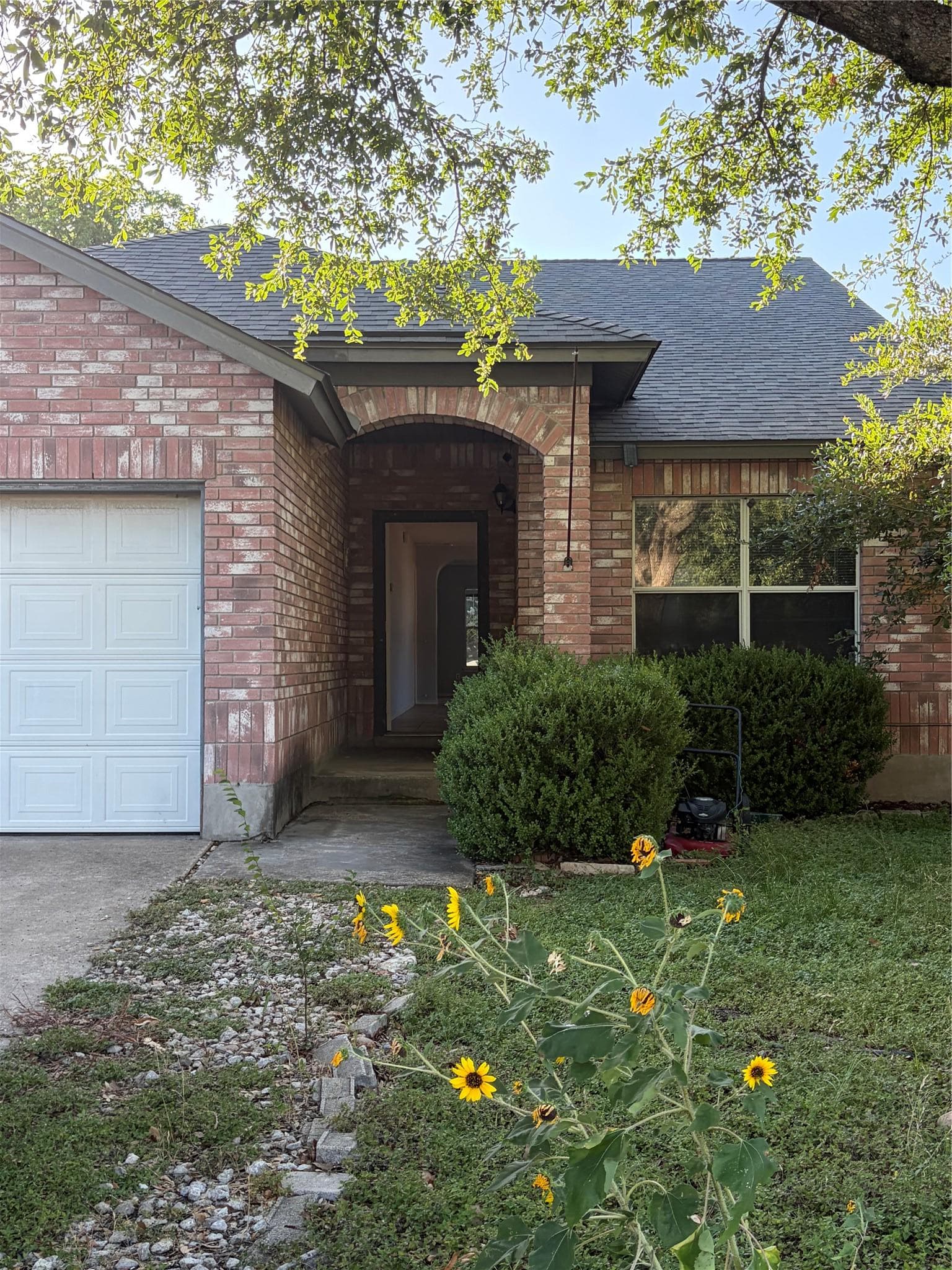 3207 Settlement Dr