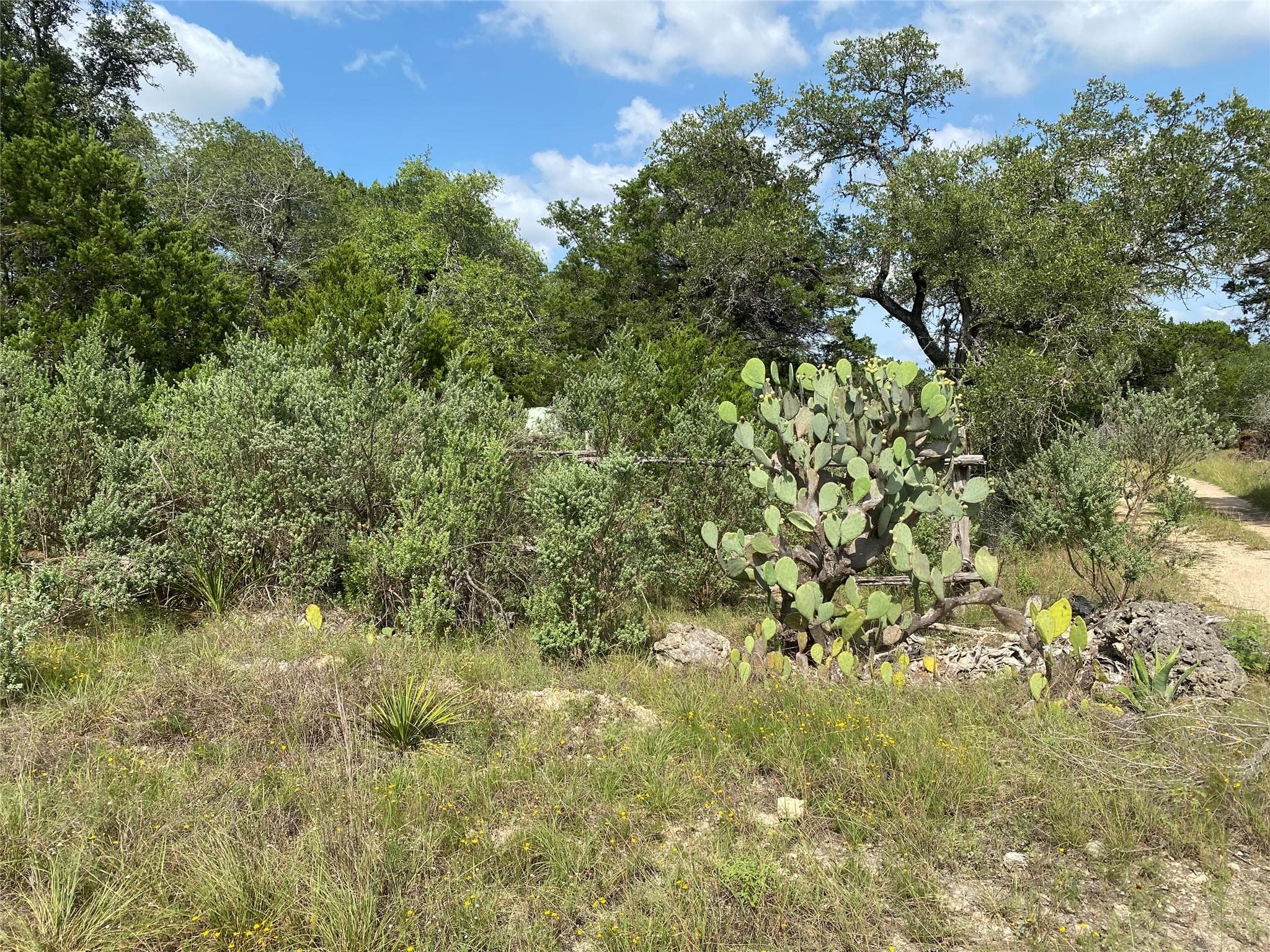 TBD Oak Meadow Lot #35 Ln