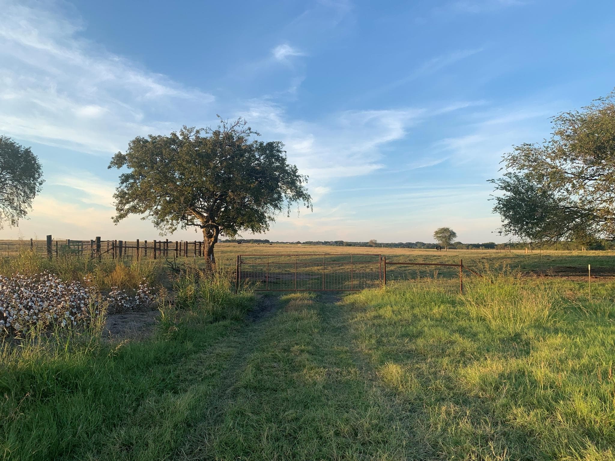 TBD2 County Road 154 None
