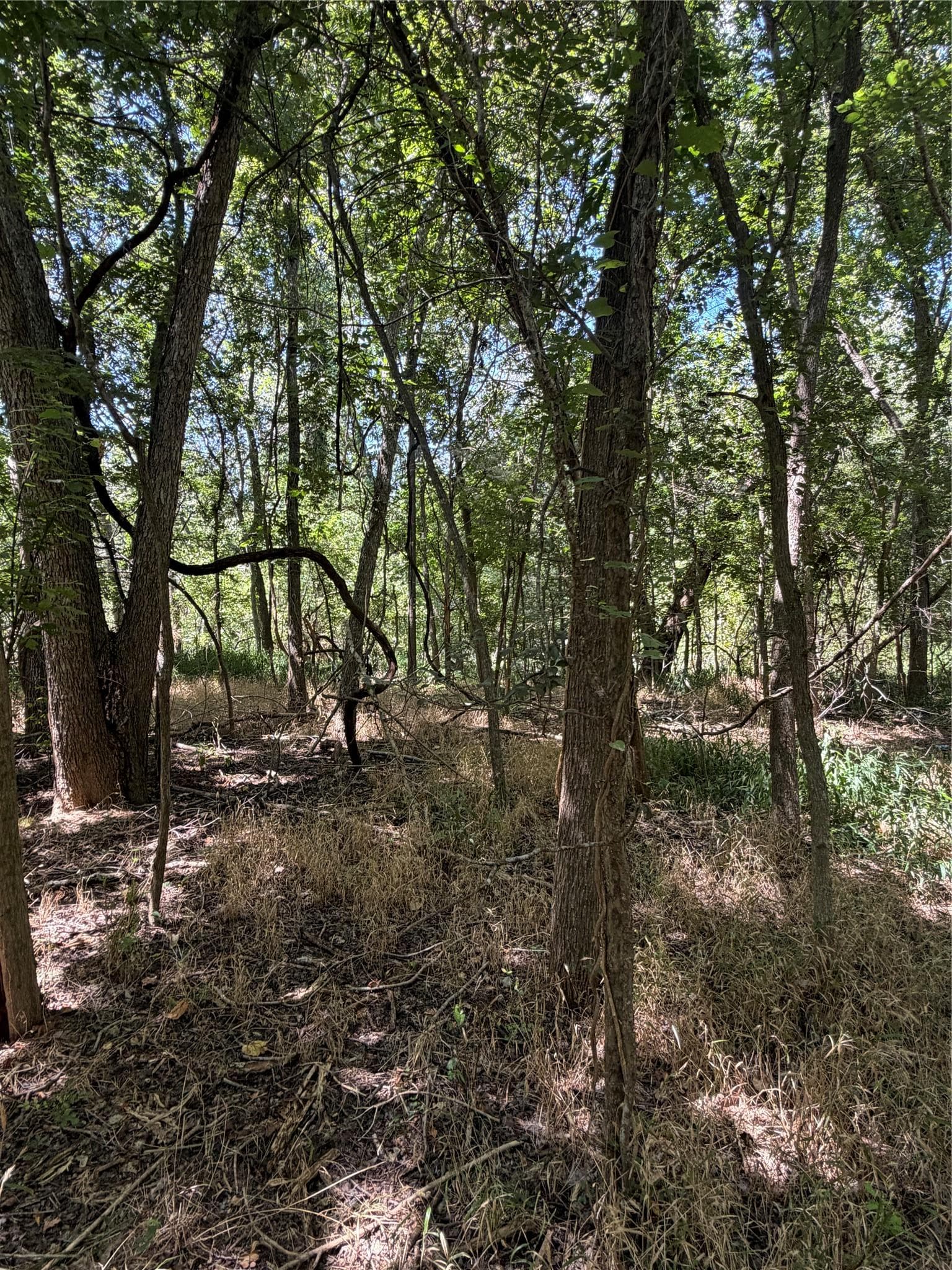Lot 677 Kaukonahua Ln